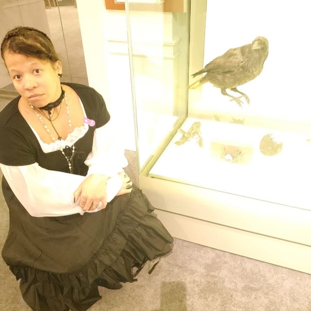Vampire Freaks Black Ruffled Cassandra Skirt - Picture 11 of 15